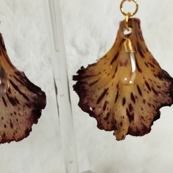 Elegant Natural Brown and Gold Earrings - Picture 2 of 4
